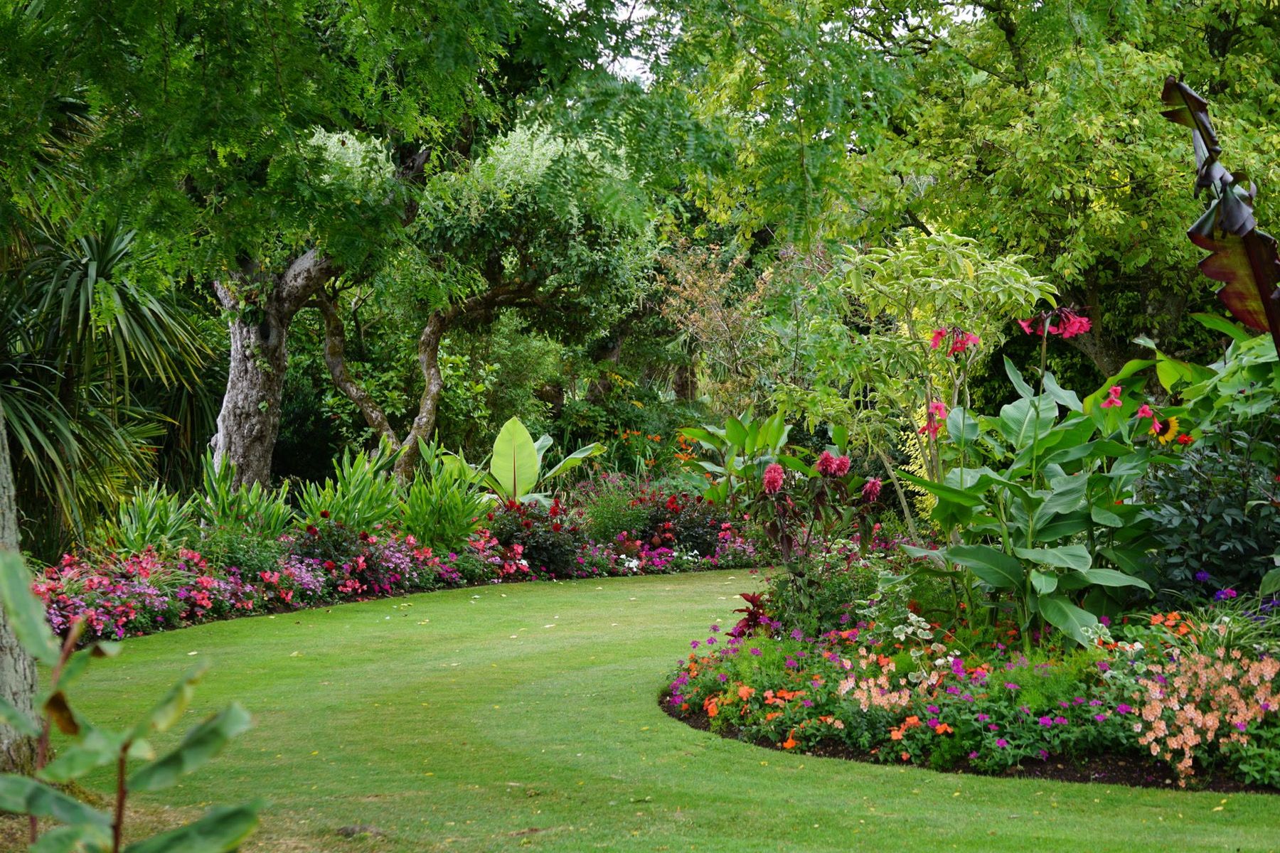 A finished garden with curved flower beds